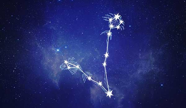 Pisces Compatibility